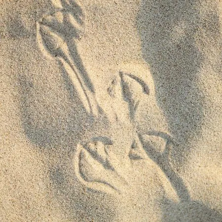 公寓 Exclusive - W Cenie Dostep Do Basenow,jacuzzi,strefy Saun- Pinea Pobierowo- Sannel For Rent *