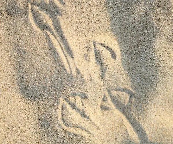 Apartman Exclusive - W Cenie Dostep Do Basenow,jacuzzi,strefy Saun- Pinea Pobierowo- Sannel For Rent *